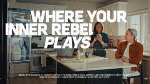 inner rebel matthew broderick